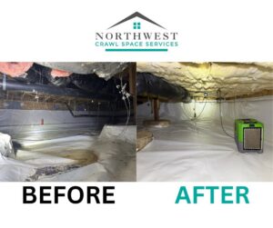 A before and after comparison of a crawl space, showing a dirty, uninsulated space transformed into a clean, encapsulated area with a dehumidifier by Northwest Crawl Space Services in Kent, WA.