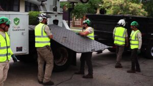Longtree Tree Service crew carrying ground protection mats during a job in Southfield, MI.