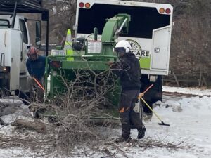 Bozeman Arborcare Tree Service LLC crew members chipping branches into a wood chipper after tree service in Bozeman, MT.