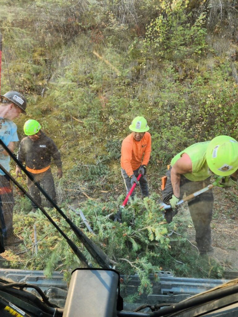 A crew of workers clearing brush and branches, demonstrating tree service work by D&R Tree Service in Lewiston, ID.