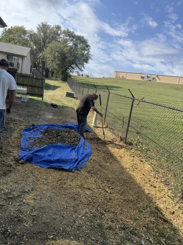 A crew member clearing brush and debris onto a blue tarp next to a fence for Hunters Lawn Care & Tree Service in St. Joseph, MO.