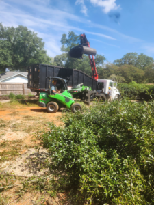 A tree service crew clearing brush and loading debris into a dumpster with heavy equipment for Tree Worx in Darlington, PA.