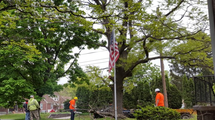 A tree service crew clearing a fallen tree branch from a residential yard for Morgan Brothers Tree Care Solutions in Birdsboro, PA