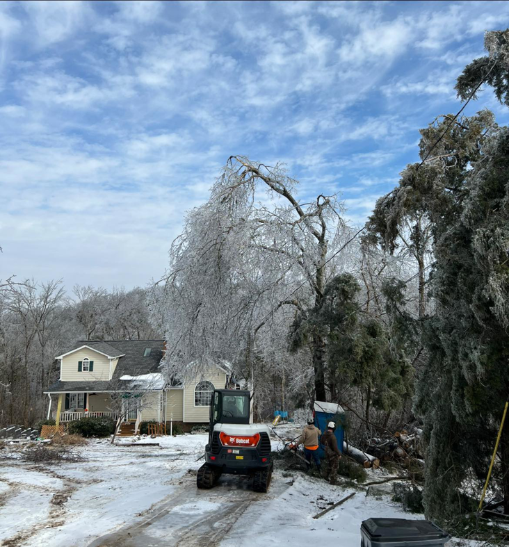 A tree service crew clearing storm debris with a mini excavator on a snowy property for Ogle Tree Service LLC in Nashville, TN.