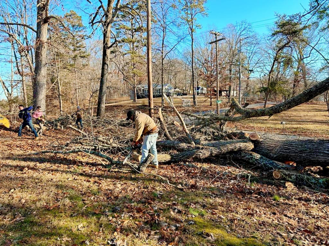 A crew from Flores Tree Service in Huntly, VA, cutting a large fallen tree and branches with chainsaws.