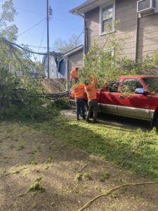 Crew members loading tree debris and branches onto a pickup truck after a tree service job by Ace Tree Chopper in Nashville, TN.