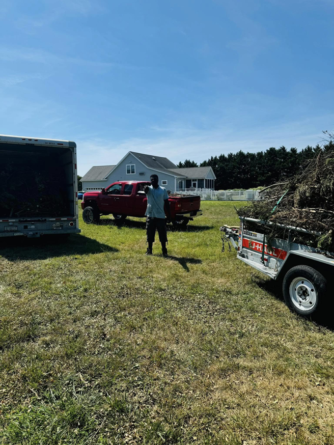 A crew member loading yard debris into a trailer for junk removal by DJ's Hauling & Junk Removal Services in Georgetown, DE.