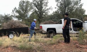 richartehelps crew members loading yard waste and brush into a utility trailer for removal in Scottsdale, AZ.