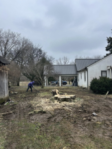 A crew member cleaning wood chips and debris around a tree stump after grinding by B&D Tree Service and Landscaping in Dallas, TX.