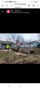 Lp Tree Service crew members processing large fallen tree logs after a removal project in Janesville, WI