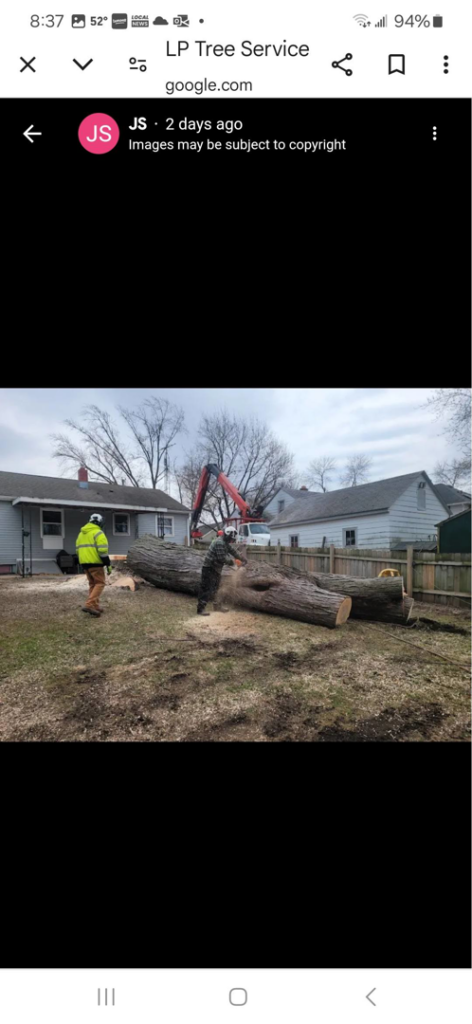 Lp Tree Service crew members processing large fallen tree logs after a removal project in Janesville, WI