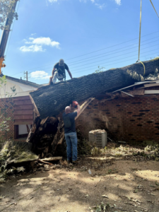 A tree service crew using a chainsaw and crane to remove a large fallen tree from a house by Triple J Tree Service, LLC in Tuscaloosa, AL.