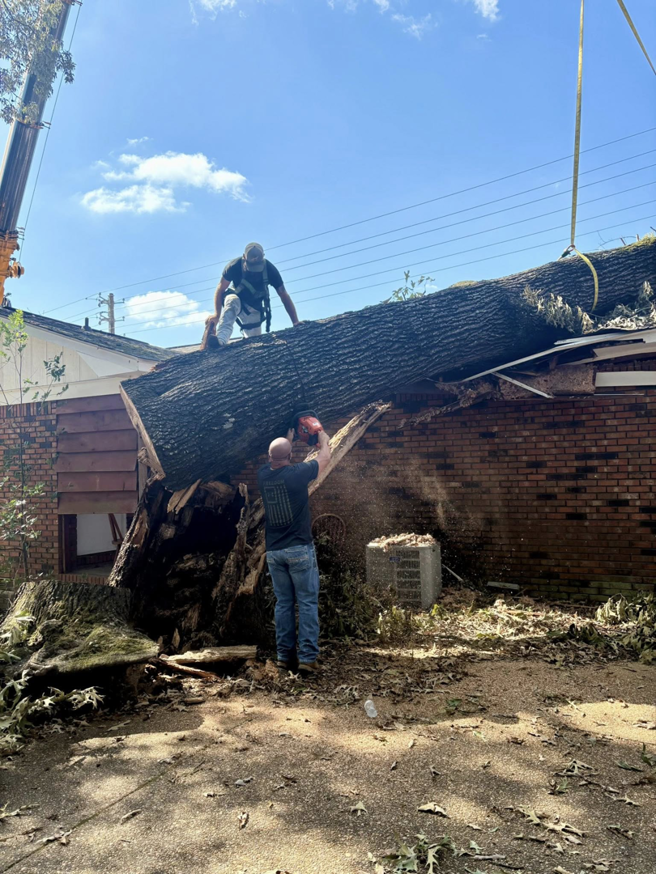 A tree service crew using a chainsaw and crane to remove a large fallen tree from a house by Triple J Tree Service, LLC in Tuscaloosa, AL.