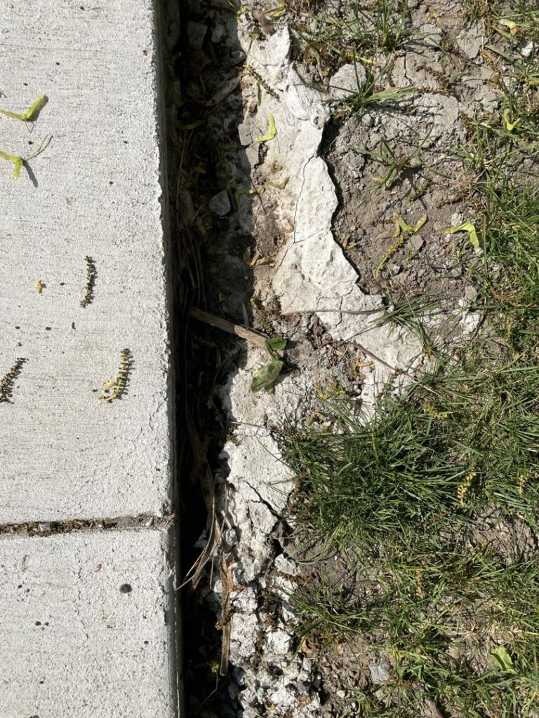 A close-up of a crumbling concrete edge next to grass, indicating a need for repair from concrete poured & installed - cp&i in Buffalo, NY.