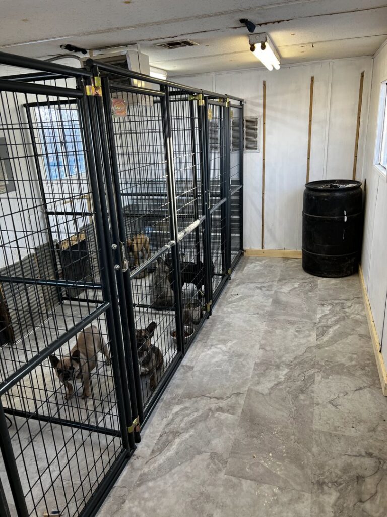 Custom-built wooden pet stairs with carpeted steps, crafted by ROTH WORX LLC in Bismarck, ND.