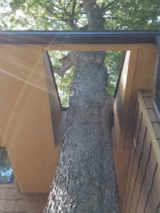A unique custom-built structure around a large tree, showcasing carpentry work by Excalibur Home Services in Council Bluffs, IA.