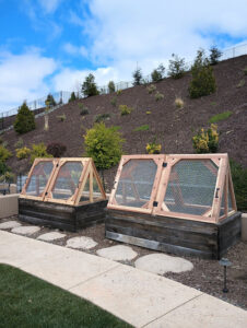 Custom-built raised garden beds with protective covers by Carpenter Joe's Handyman Service in Sacramento, CA