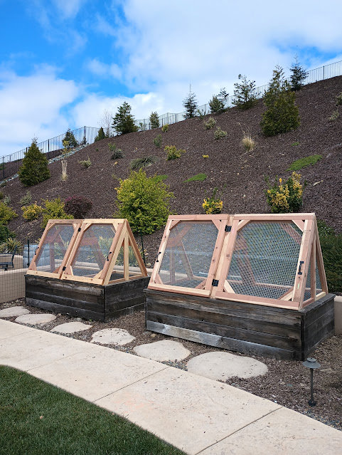 Custom-built raised garden beds with protective covers by Carpenter Joe's Handyman Service in Sacramento, CA