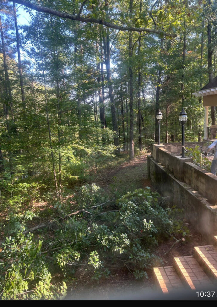 Cut branches and debris on the ground after tree trimming or cleanup by Ox Tree in Birmingham, AL.