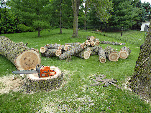 Freshly cut tree logs and a chainsaw on a stump after a tree removal service by Peoria Tree Experts in Peoria, IL.