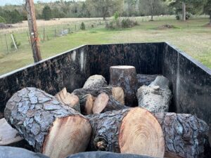 A dump trailer filled with various cut logs and wood pieces, ready for transport by Solid Ground Tree & Property Services LLC in Dothan, AL.