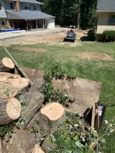 Cut tree logs loaded into a trailer with an excavator in the background, demonstrating debris removal by Victor Solis Tree Service in Norfolk, VA.