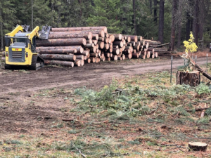 A large pile of cut logs next to a skid steer, demonstrating tree removal and logging services by Hiatt Services in Spokane, WA.