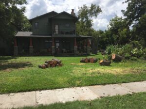 Freshly cut logs and tree debris neatly piled on a residential lawn after a tree removal service in Austin, TX by Ozark of Austin.