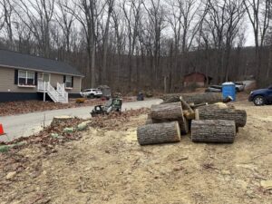 A pile of cut logs and a tree stump on the ground after a tree removal service by Clearview Tree and Landscaping Services in Martinsburg, WV.
