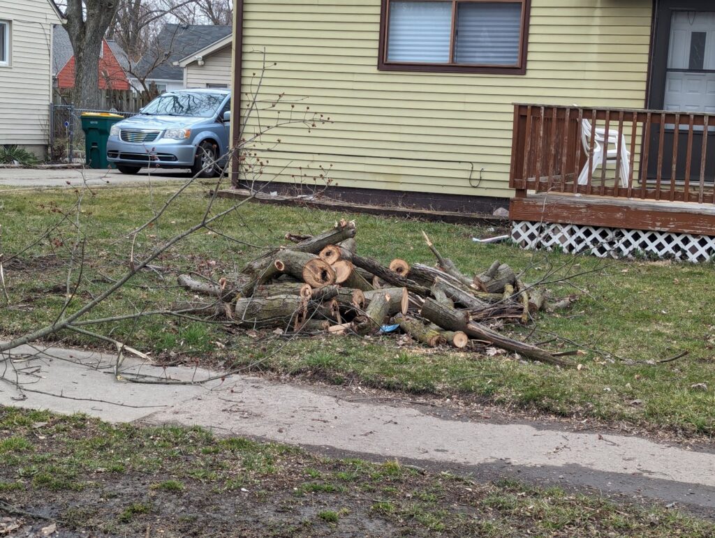 A pile of cut tree branches and logs on a residential lawn after a tree service job by Cassidy & Co. Tree Service in Detroit, MI.