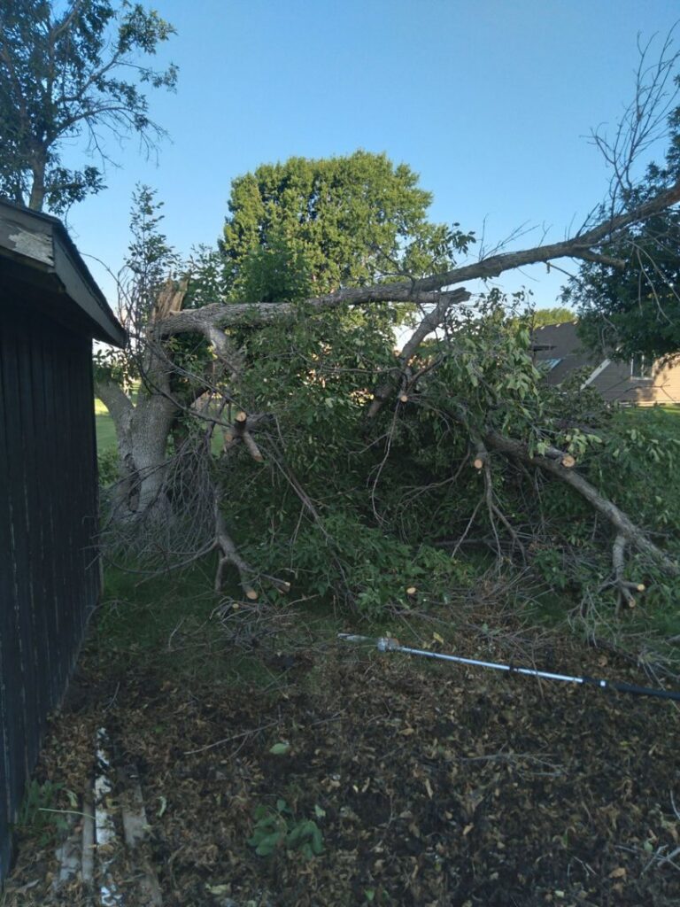 Cut tree branches on the ground next to a building, showing recent tree service work by Grand Island Tree Service in Grand Island, NE.