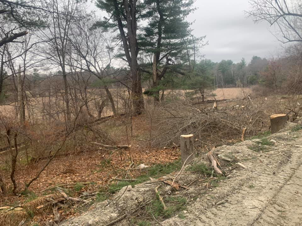 Piles of cut tree branches and stumps after land clearing services by L & P Excavation and Tree Removal in Salem, NH.