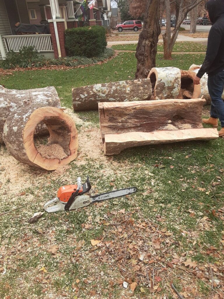 Large cut tree logs and a chainsaw on the ground after tree removal by Humbolt Tree Service in Wichita, KS