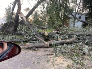 Cut tree logs and branches scattered on the ground after a tree removal and cleanup by Woodchopper's Tree Service in Lennon, MI.