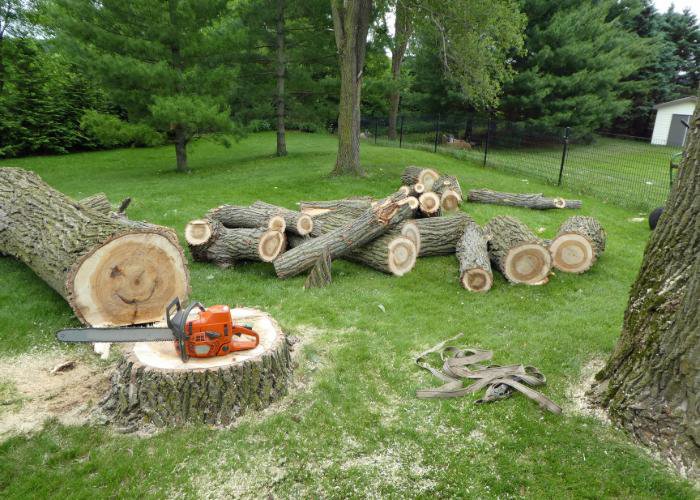 Freshly cut tree logs piled on a lawn with a chainsaw on a stump, indicating tree removal by Rhode Island Tree Removal in Providence, RI.