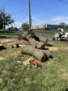 Freshly cut tree logs and a chainsaw on the grass with a wood chipper in the background from Southern Accent Tree Service in West Des Moines, IA.