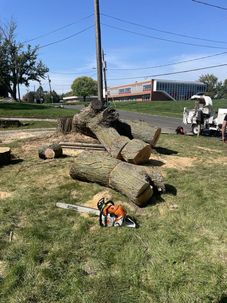 Freshly cut tree logs and a chainsaw on the grass with a wood chipper in the background from Southern Accent Tree Service in West Des Moines, IA.