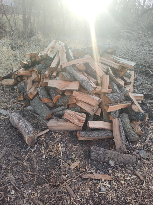 Cut tree logs ready for removal by Hoffman Construction Services, LLC in Saint Joseph, MO.