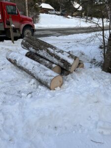 Freshly cut tree logs piled in the snow after a winter tree removal service by BlueWater Tree Service, LLC in Bangor, ME.