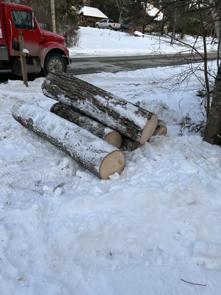 Freshly cut tree logs piled in the snow after a winter tree removal service by BlueWater Tree Service, LLC in Bangor, ME.