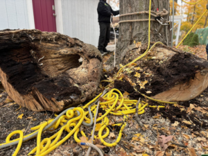 Large cut tree logs and ropes on the ground after tree removal by Valera Tree Services in Benton Harbor, MI.
