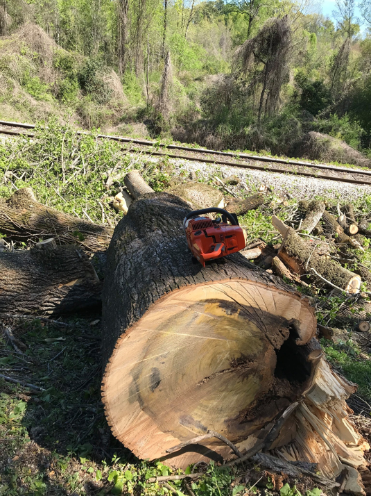 A large cut tree trunk with a chainsaw resting on it, surrounded by logs after tree removal by J.W. Tree Service in Montgomery, AL