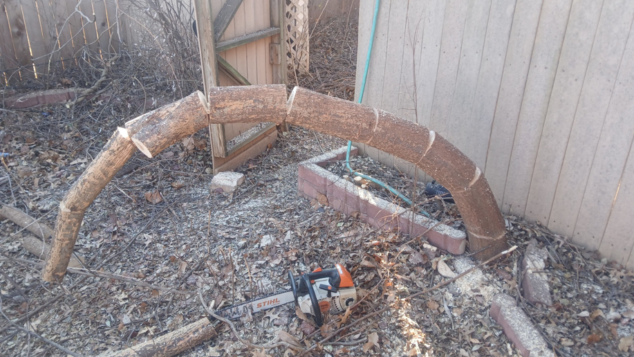 Cut tree trunk sections and a Stihl chainsaw on the ground from D&D Tree Service in Stillwater, OK.