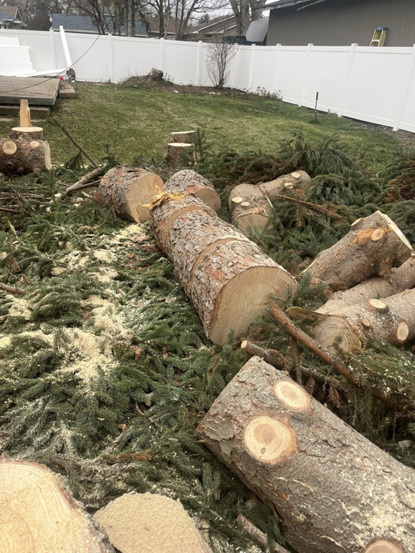 Large tree trunks cut into sections and lying on debris after a tree service job by Catchpole Tree Service in Spokane, WA