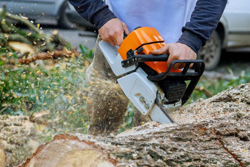 A worker cutting a large tree log with a chainsaw for Carolina Property Solution and Tree Service in Concord, NC.