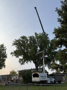 A Dakota Tree Company truck with a wood chipper and a crane performing tree services in Aberdeen, SD