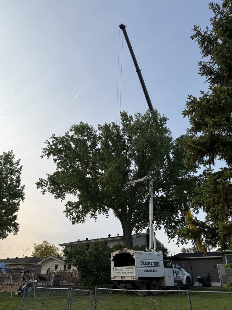 A Dakota Tree Company truck with a wood chipper and a crane performing tree services in Aberdeen, SD