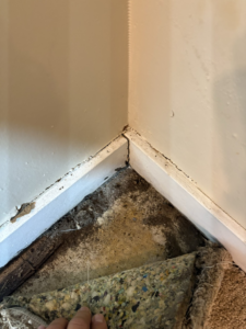 A damaged basement corner with peeling paint and water damage, showing a problem ARK Basement Services - Akron, OH can fix.