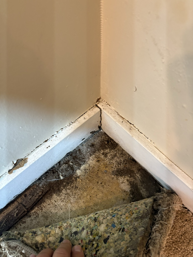 A damaged basement corner with peeling paint and water damage, showing a problem ARK Basement Services - Akron, OH can fix.