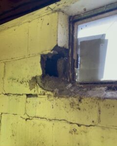 A damaged basement window well with a large hole in the concrete block wall, indicating a need for repair by TCM Waterproofing, LLC in Canton, OH.